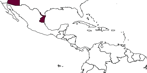 map of Zaglyptus arizonicus     Townes & Townes, 1960